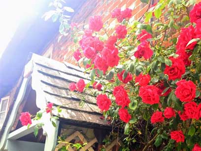 Pewsey Cottage