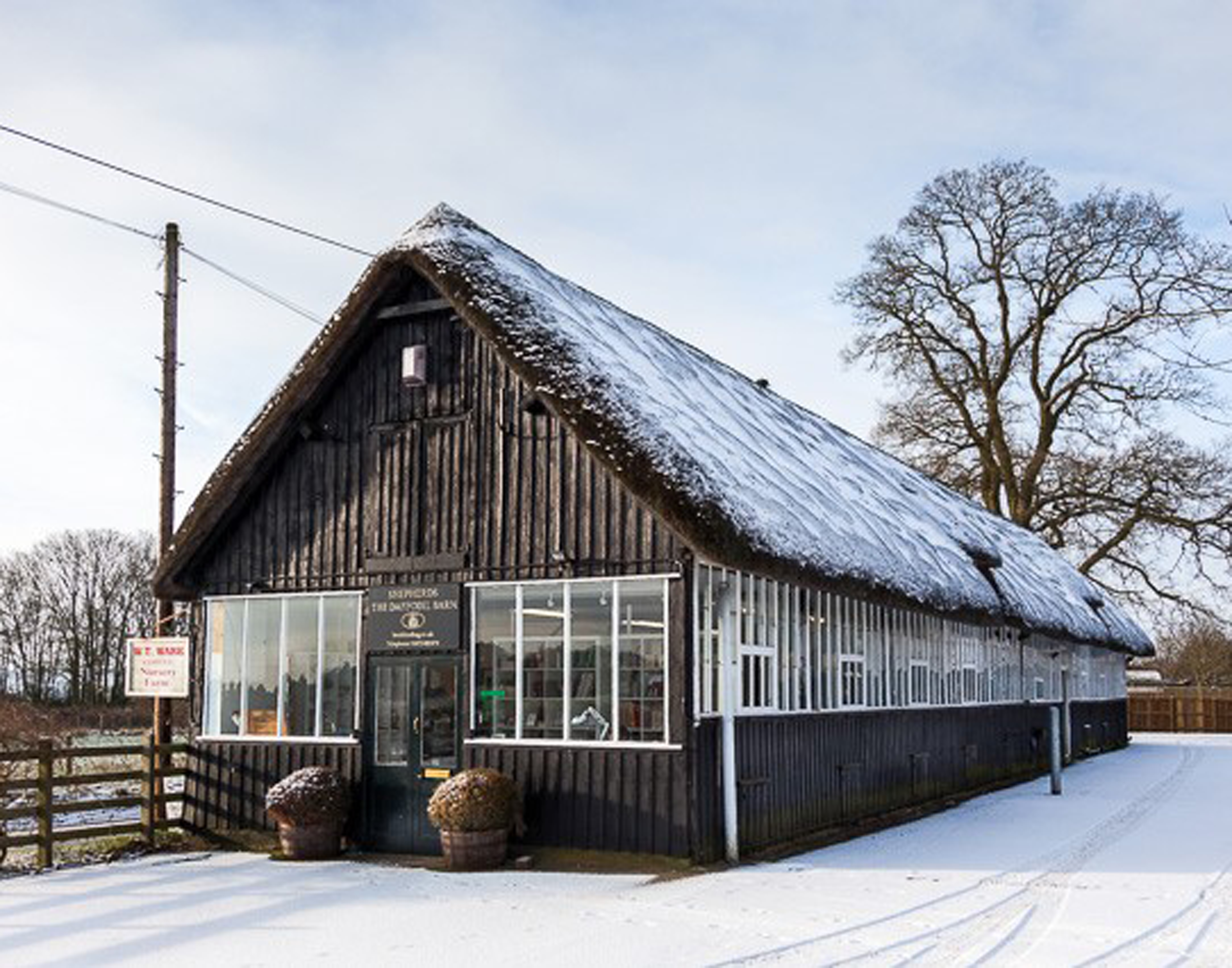 Daffodil Barn Winter